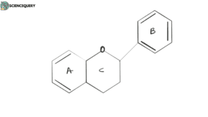 Flavonoids