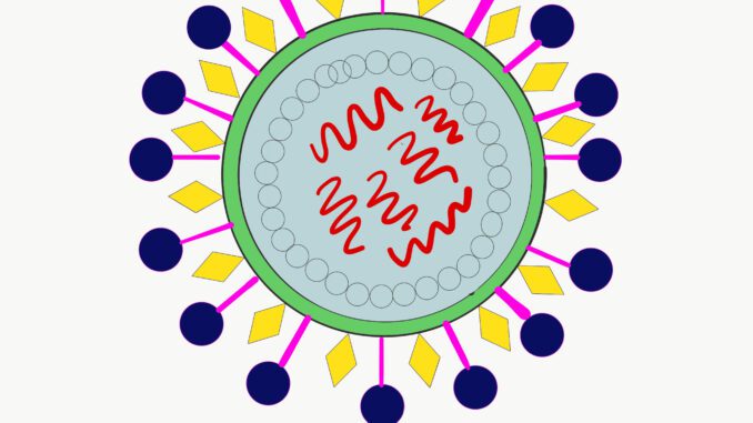 virus difference virus difference