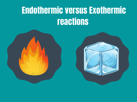 Endothermic versus exothermic