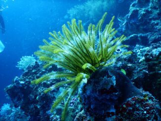 ecosystem definition biology