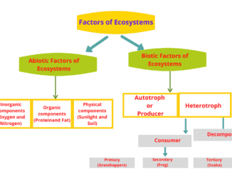 biotic factors in the ecosystem