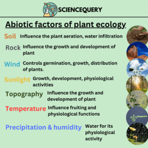 Plant ecology abiotic factors