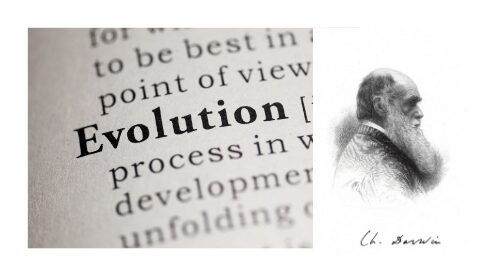 Darwin’s evolution theory