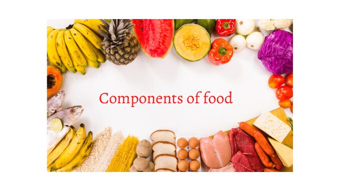 What Are The Main Components Of Food Science Query