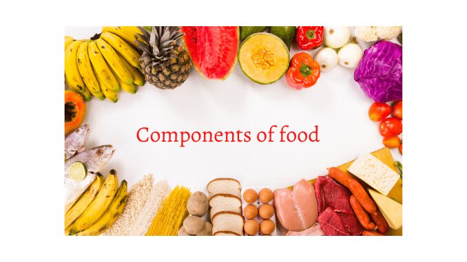 Components of food