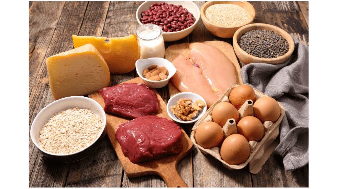 Role of protein in nutrition