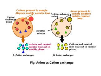 Anion exchange vs cation exchange