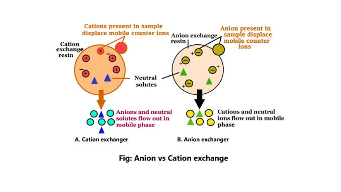 Anion exchange vs cation exchange