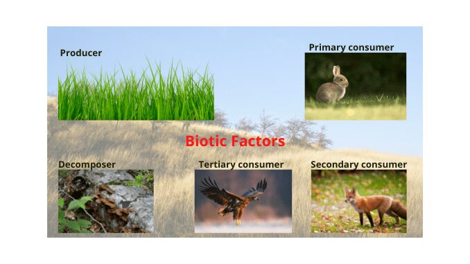 Grassland biotic factors