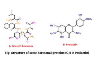 Hormonal proteins