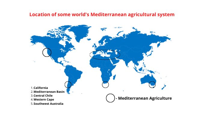 What Is Mediterranean Agriculture In Ap Human Geography