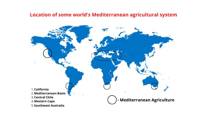 Mediterranean agriculture