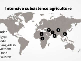 intensive subsistence agriculture or farming