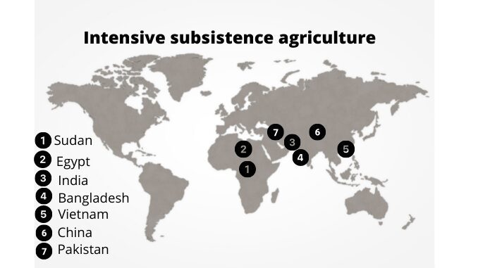 intensive subsistence agriculture or farming