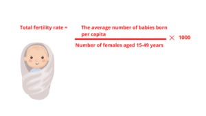 Total fertility rate