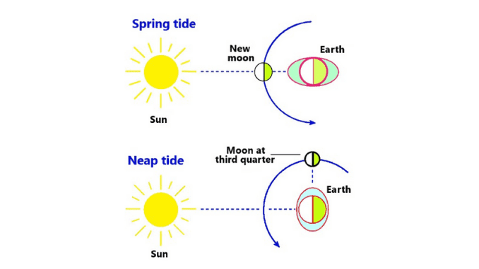 Types of tides