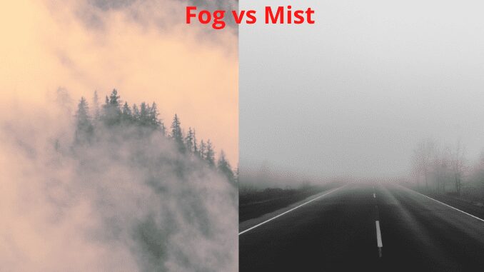 Fog vs mist