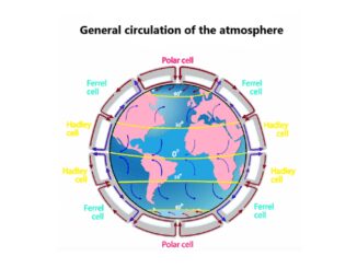 General circulation of the atmosphere