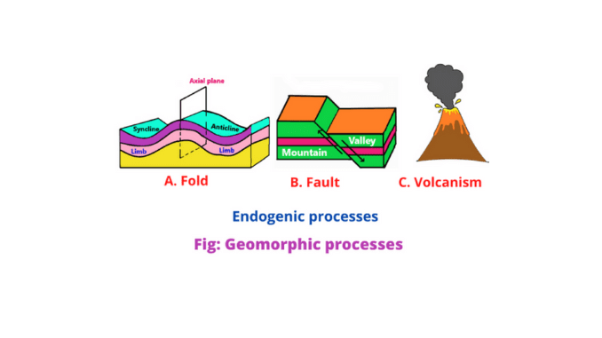 Endogenic process