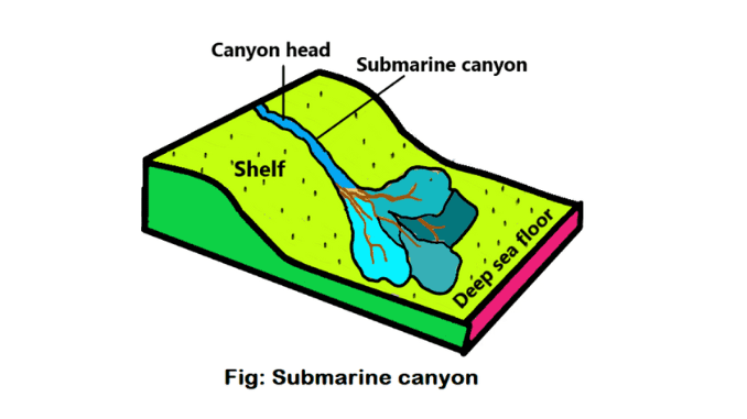 Submarine canyons