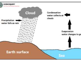 different types of rainfall