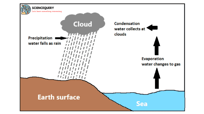 essay on type of rainfall