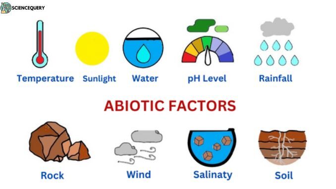 Abiotic factors