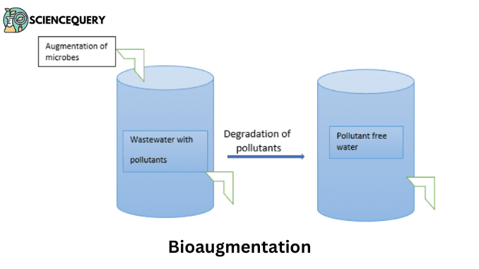 Bioaugmentation Bioaugmentation