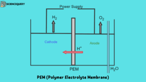 PEM (Polymer Electrolyte Membrane)