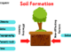 Soil formation