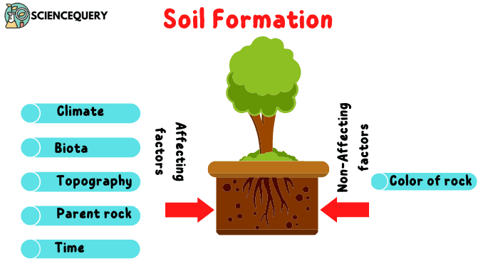 soil-formation-sciencequery