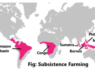 Subsistence farming and types