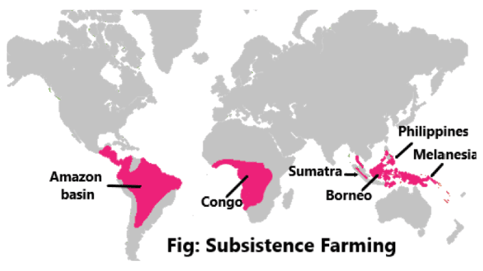 Subsistence farming and types