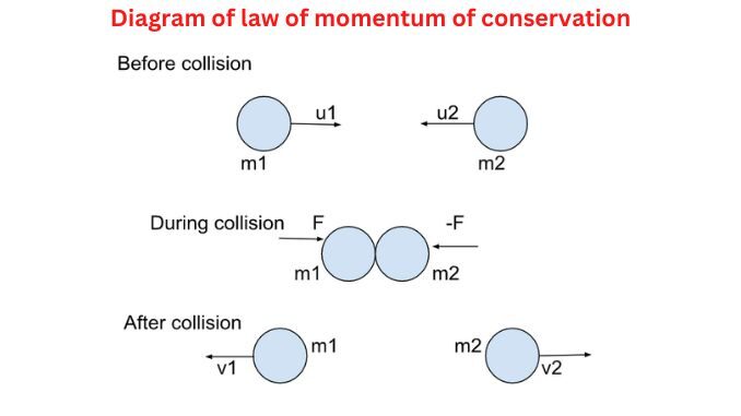 conservation of momentum definition science