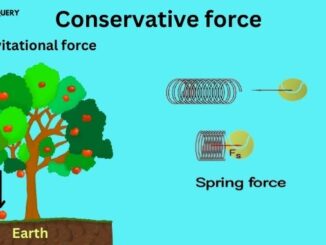 Conservative force