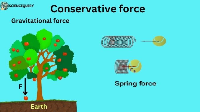 what-is-the-conservative-force-sciencequery