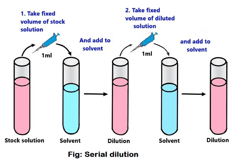 serial dilution method