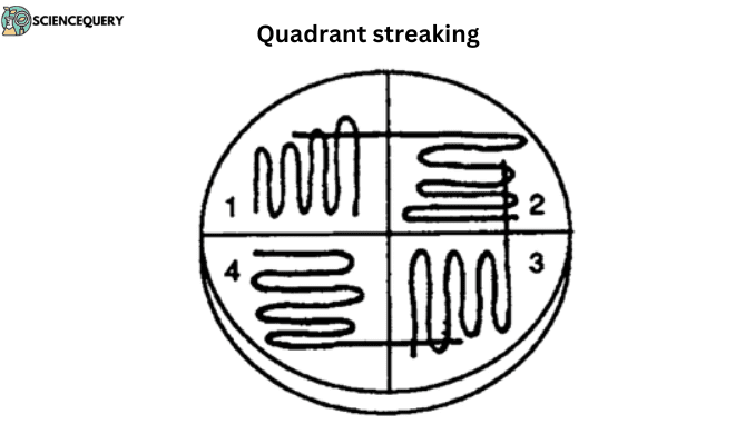 Quadrant streaking