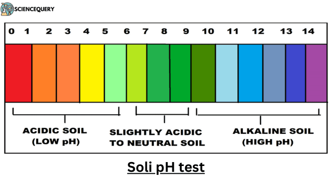 soli pH test