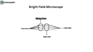 Bright feild microscope objective