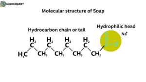 Molecular Structure of Soap