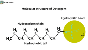 Molecular structure of detergent