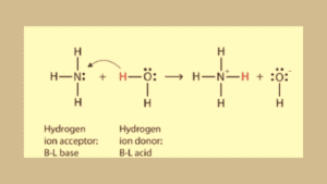 Reaction of ammonia in water