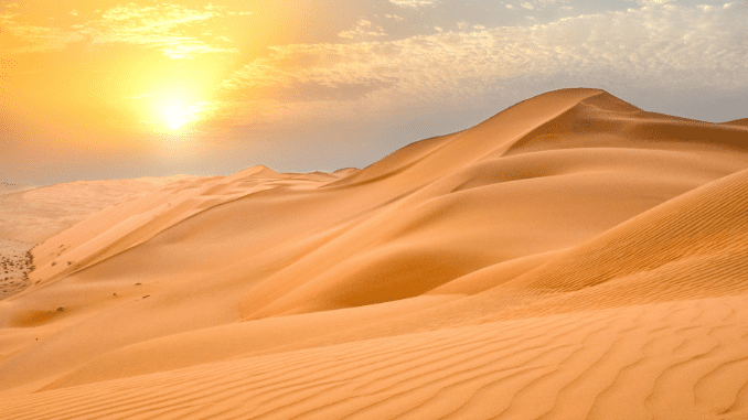 Abiotic factors in desert