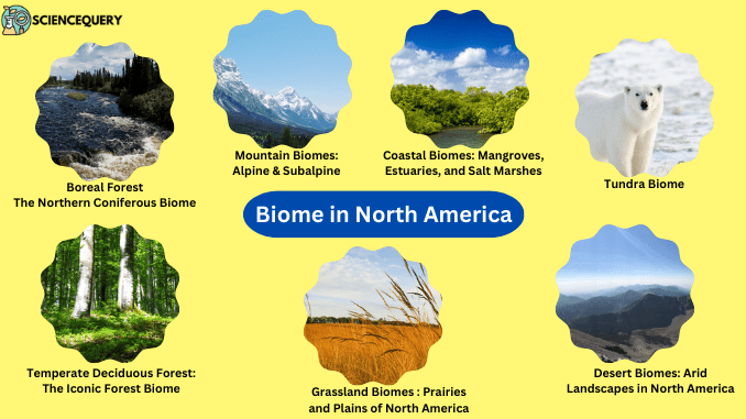 Biome in North America