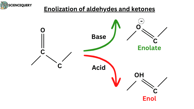 Enolization of aldehydes and ketones