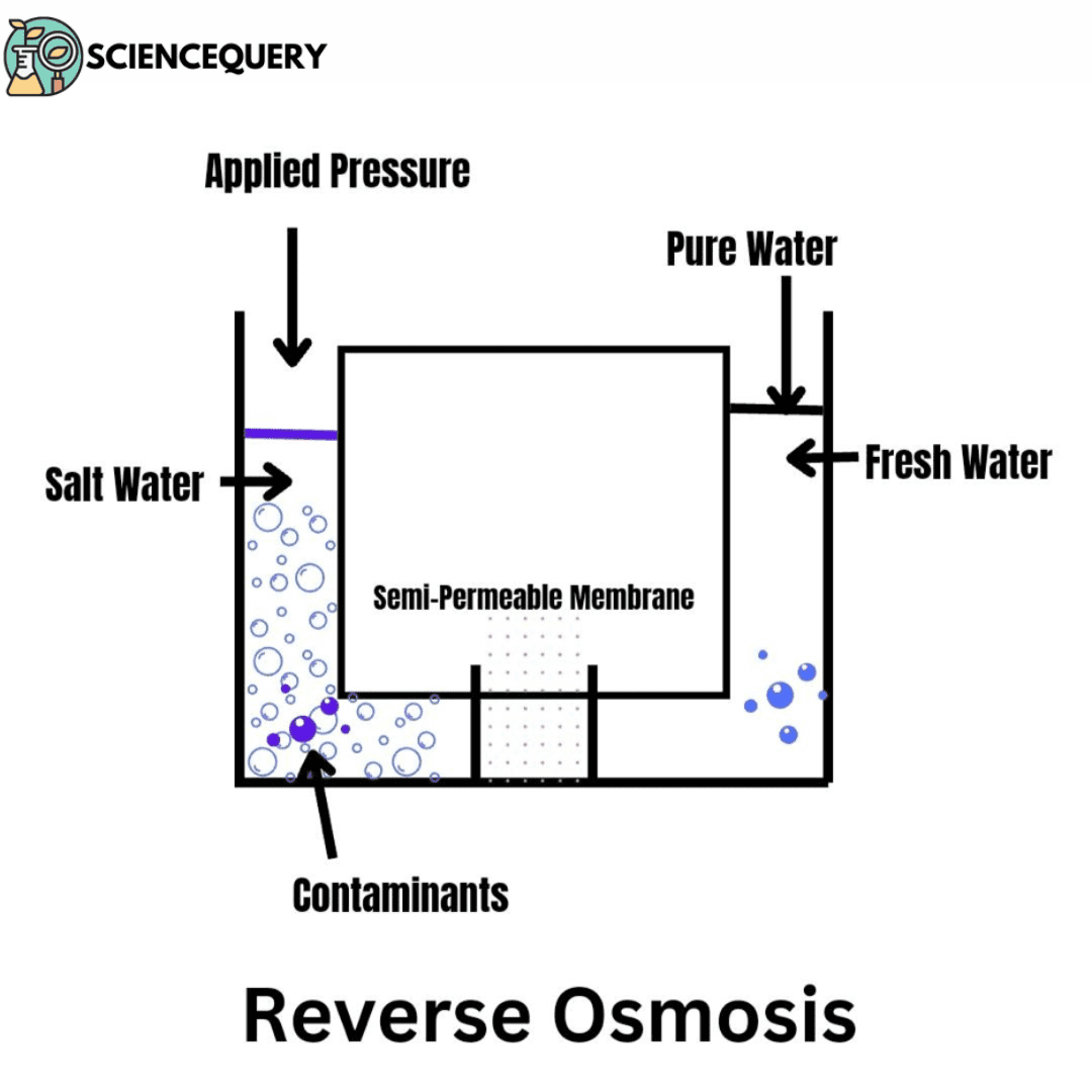 Reverse osmosis - ScienceQuery